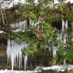 cliff icicles